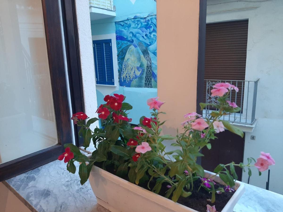 La Vie En Rose - Casa Vacanze Diamante Luaran gambar